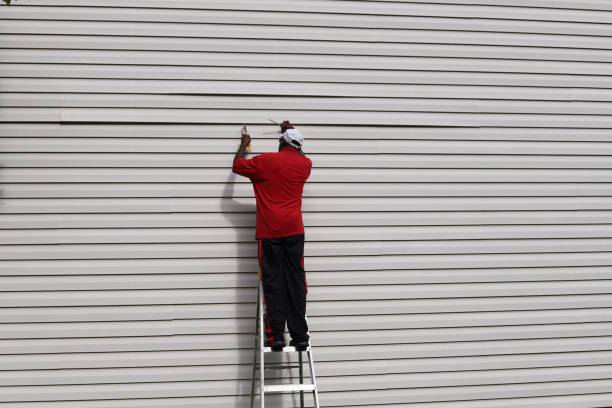 Best Composite Siding  in Lone Tree, CO