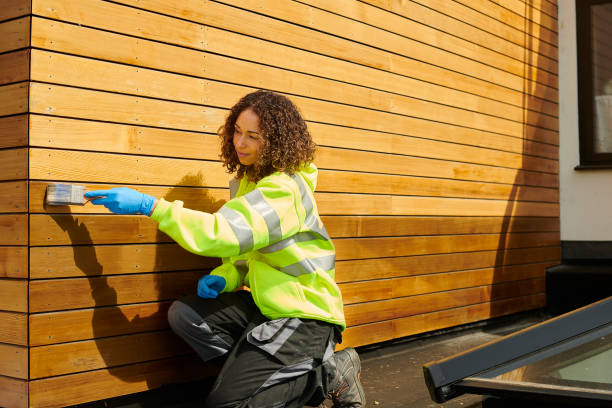 Best Fascia and Soffit Installation  in Lone Tree, CO
